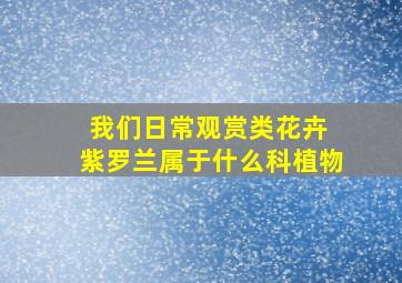 我们日常观赏类花卉 紫罗兰属于什么科植物